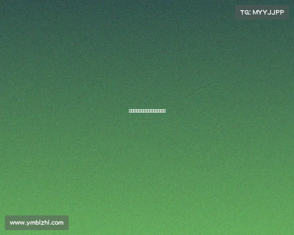 格斗赛事分级—格斗分为几个级别